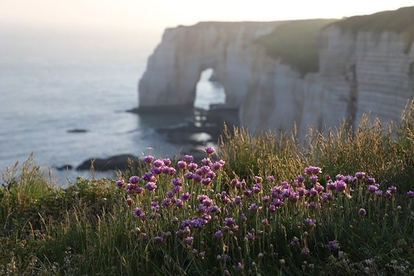 Exploration en Terres Normandes : Votre Guide Ultime pour Découvrir les Joyaux de la Normandie